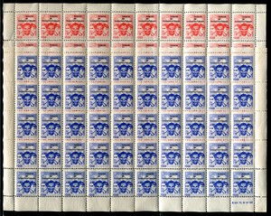 FDJ YOUTH PIONEERS (019689)